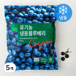 딜라잇가든 유기가공식품 인증 블루베리 (냉동), 500g, 5개