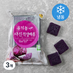 유기가공식품 인증 웰팜넷 유기농 다진적양배추 (냉동), 100g, 3개