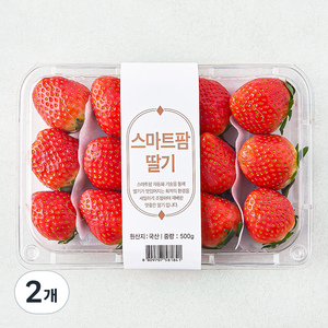 스마트팜 설향 딸기, 2개, 500g