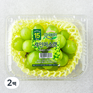 굿데이 당도선별 15bix 비파괴 샤인머스캣, 500g, 2팩