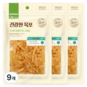 내츄럴랩 건강한 육포 강아지 간식, 칠면조, 100g, 9개