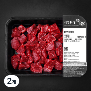 서경한우 암소 정육 1등급 (냉장), 300g, 2개