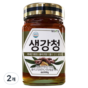 힐링앤팜 생강청, 500g, 1개입, 2개