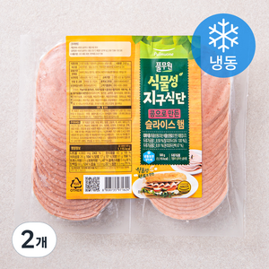 풀무원 식물성 지구식단 콩으로 만든 슬라이스 햄 (냉동), 500g, 2개