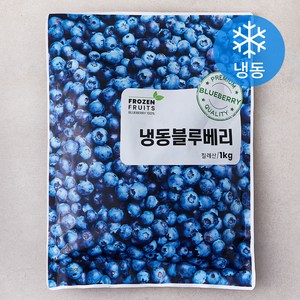 이안 칠레산 블루베리 (냉동), 1kg, 1개