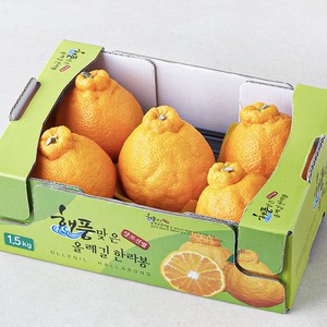 해풍맞은올레길 GAP 인증 당도선별 한라봉 대과 4~5입, 1.5kg, 1박스