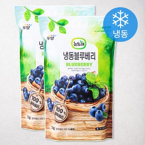 뉴뜨레 페루산 블루베리 (냉동), 1kg, 2개