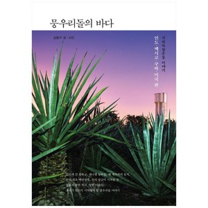 뭉우리돌의 바다:국외독립운동 이야기-인도 멕시코 쿠바 미국 편, 수오서재, 김동우