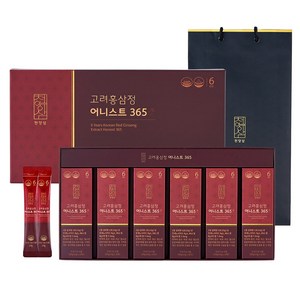 천양삼 6년근 고려홍삼정 어니스트 365 홍삼스틱 60포 선물세트 + 쇼핑백, 600g, 1개