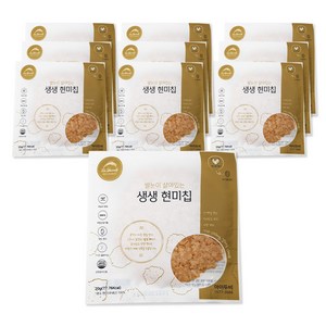 아이두비 생생 현미칩 10p, 200g, 1개