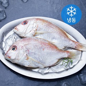 아라보감 국내산 반건조 손질 꽃돔 (냉동), 330g 내외, 1개