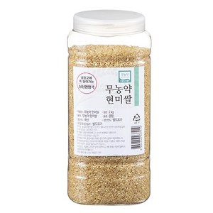 월드그린 싱싱영양통 무농약 현미, 2kg, 1개