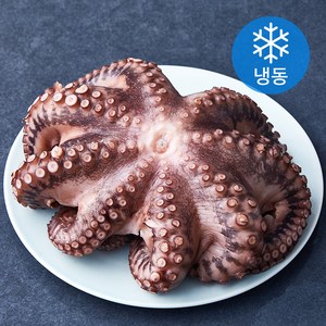 대흥물산 한마리 데친 문어 (냉동), 650g, 1개