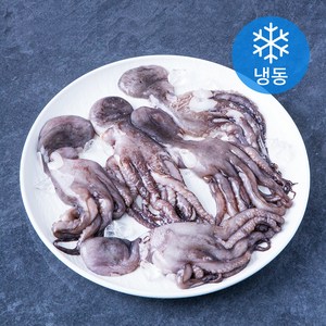 낙지 (냉동), 450g, 1개