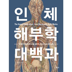 인체 해부학 대백과, 보누스, 켄 에슈웰