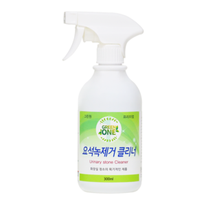 GREENONE 요석녹 제거 클리너, 1개, 300ml