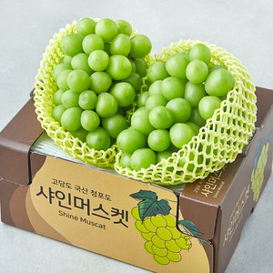 한들 당도선별 샤인머스캣, 1개, 1.5kg