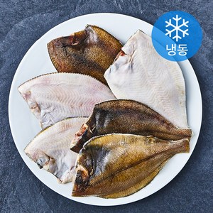 고고새우 두툼한 손질 두절 가자미 (냉동), 1kg(중), 1개