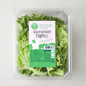 그린래빗 무농약 인증 유러피안 더블믹스 샐러드, 100g, 1개