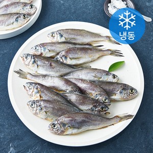 국내산 대용량 굴비 20미 (냉동), 1개, 1kg