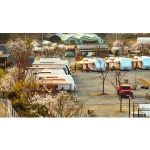 [파주시] 마실캠핑장