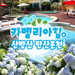 [제주] 카멜리아힐+산방산탄산온천