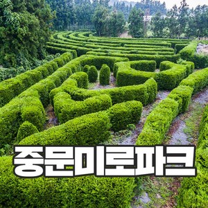 [제주] 중문미로공원