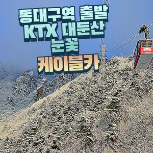 [눈꽃여행] 동대구출발/KTX - 대둔산 구름다리눈꽃&케이블카 설경&뿌리공원&하늘물빛정원 여행(당일)