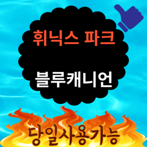 [강원도] 파격딜★]평창 휘닉스파크 블루캐니언 종일권 당일사용가능 대인소인 모바일전송