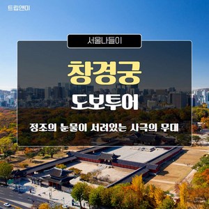 [서울창경궁] ★정조의 눈물이 서려있는 사극의 무대★ 창경궁 도보투어