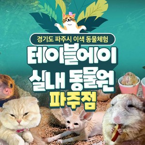 [파주] 테이블에이 동물원