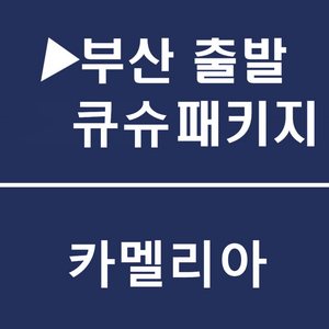 [부산출발] [큐슈][투어민족] 가성비甲 카멜리아 하카타역 시내숙박 후쿠오카 3일