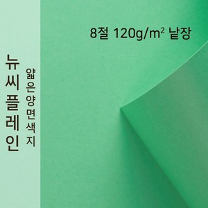 종이문화 얇은 양면색지 뉴씨플레인 120g 8절 낱장 1매 No.39 에머랄드색, 1장