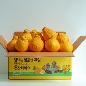 제주 고당도 한라봉 못난이 꼬마 선물용 가정용, 10kg 소과(48~64개입), 1개