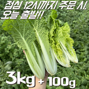 [꿀야채 얼갈이배추] 물 좋은 철원 산지직송 얼갈이배추, 1개, 3kg