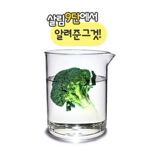 마타바 천연유래추출물 모음 (기타재료), 19-브로콜리_100ml, 1개