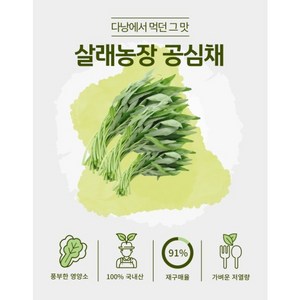 지리산뱀사골 수경재배 공심채 친환경 저탄소인증 GAP인증 [원산지:국산(전라북도 남원시)], 1개, 1kg