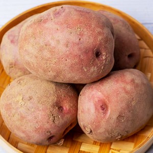 [블루밍그린] 포슬포슬 국내산 카스테라 홍감자, 1개, 3kg / 특