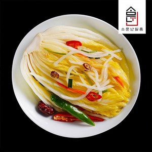 기타 [소문난 배윤자] 일품 백김치 3kg, 1개