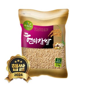 현대농산 국산 현미찹쌀 찰현미 5kg, 1개