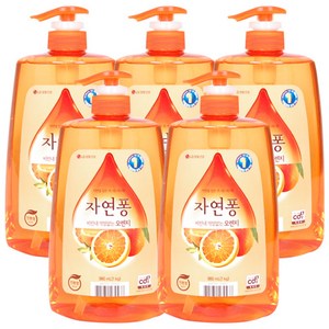 자연퐁 오렌지 주방세제 [용기] 1kg, 5개