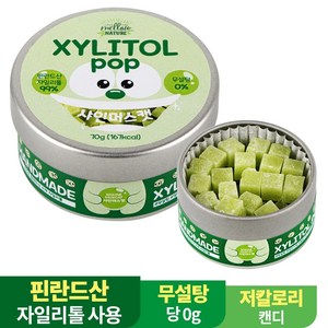 수제 장인 자일리톨 팝 캔디 사탕 핀란드산 100% 샤인머스캣, 70g, 1개