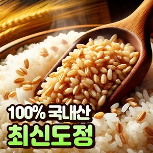 [100%국산] 호라산밀 카뮤트 효능 당뇨에좋은 쌀, 5개, 1kg