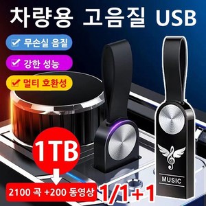 1/1+1차량용 고음질 USB Sk ssd외장하드 대용량 외장하드 차량usb 스플리터 고음질usb 외부메모리 usb 센디스크, 64GB, (2개)USB(어댑터&pp 봉지)