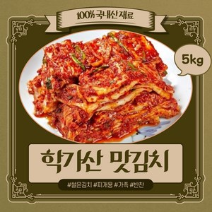 안동 학가산 맛김치 썰은김치 국산100% 당일발송 l 아이스박스 포함, 5kg, 1박스