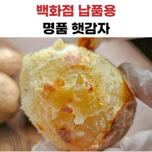 더좋은 수미감자, 1개, 특사이즈, 5kg