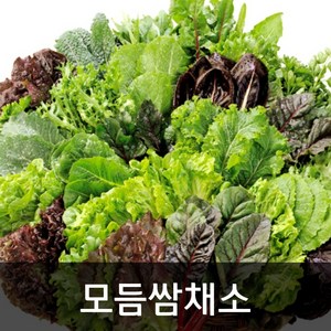 약수농장 모듬쌈채소 2kg, 1개