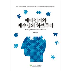 메타인지와 예수님의 하브루타 - 성경암송학교(BRS) 박종신, 단품