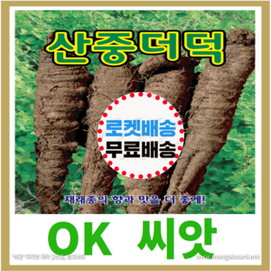 [OK씨앗] [산중더덕] 더덕씨앗 종자(오케이씨앗), 1개