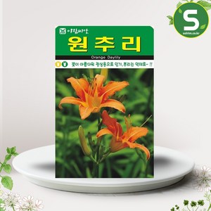 솔림텃밭몰 원추리씨앗 30립 원추리 꽃씨앗 꽃씨 야생화, 1개